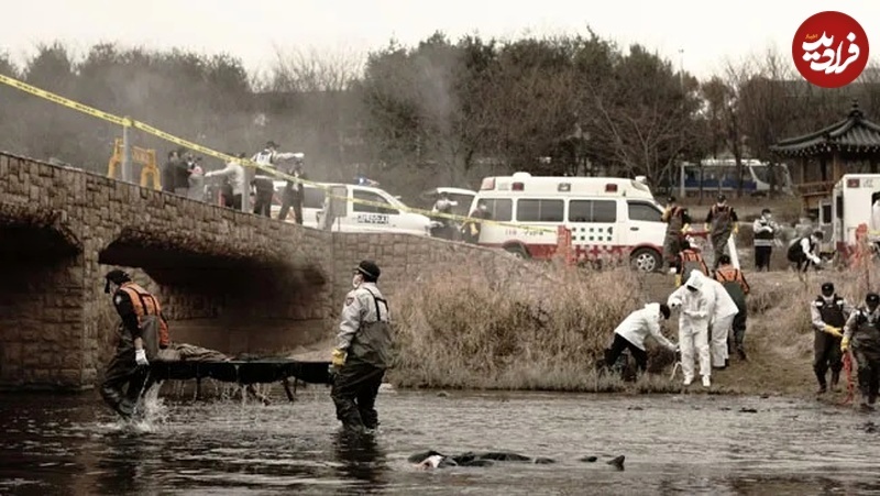 ۹ فیلم نفس‌گیر کره‌ای که نباید از دست بدهید