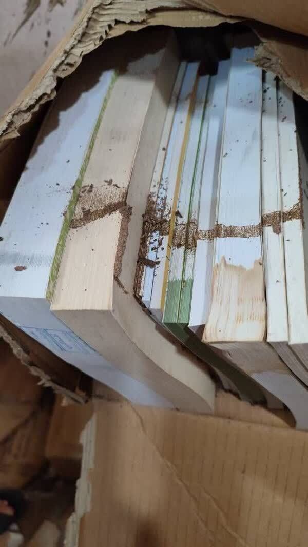 (ویدیو) هجوم موریانه‌ها به کتاب‌های کتابخانه عمومی لرستان