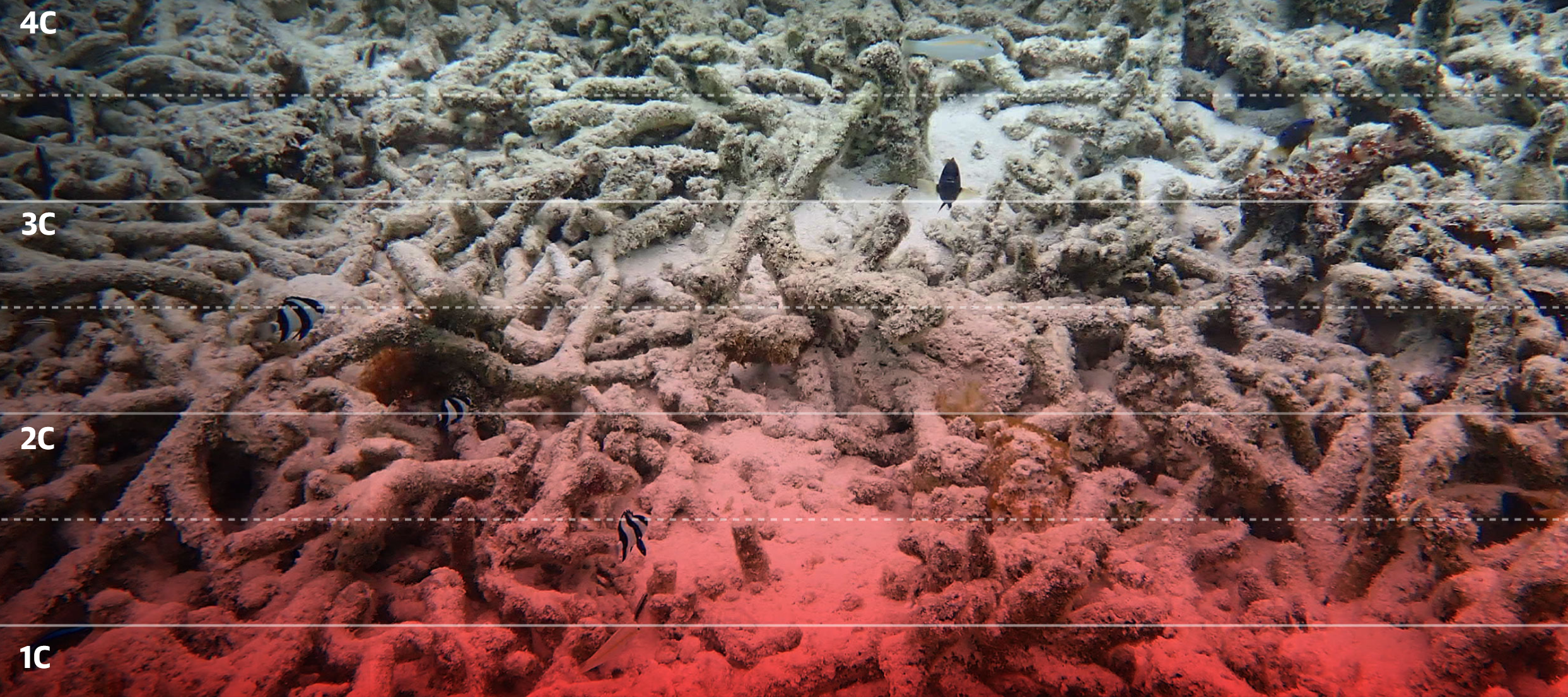 سانتی به گراد به سانتی گراد افزایش دما با جهان ما چه خواهد کرد؟