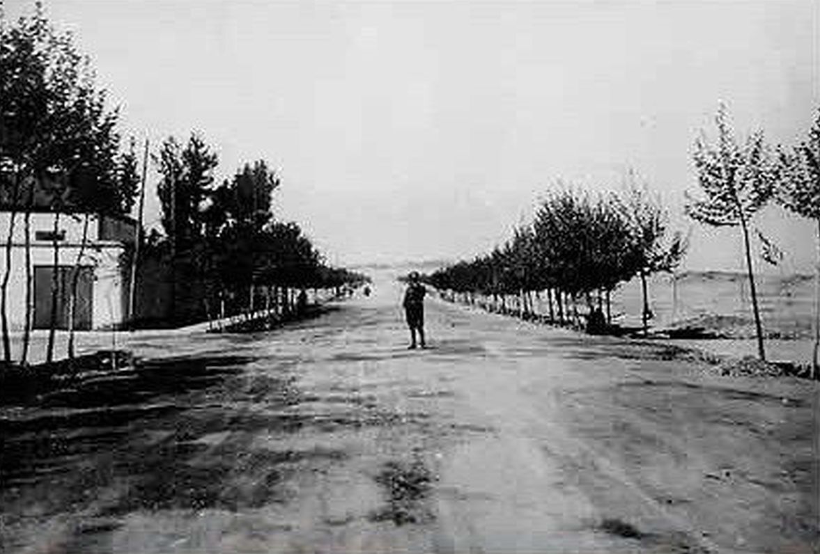 (تصویر) خیابان ولی عصر در گذر زمان