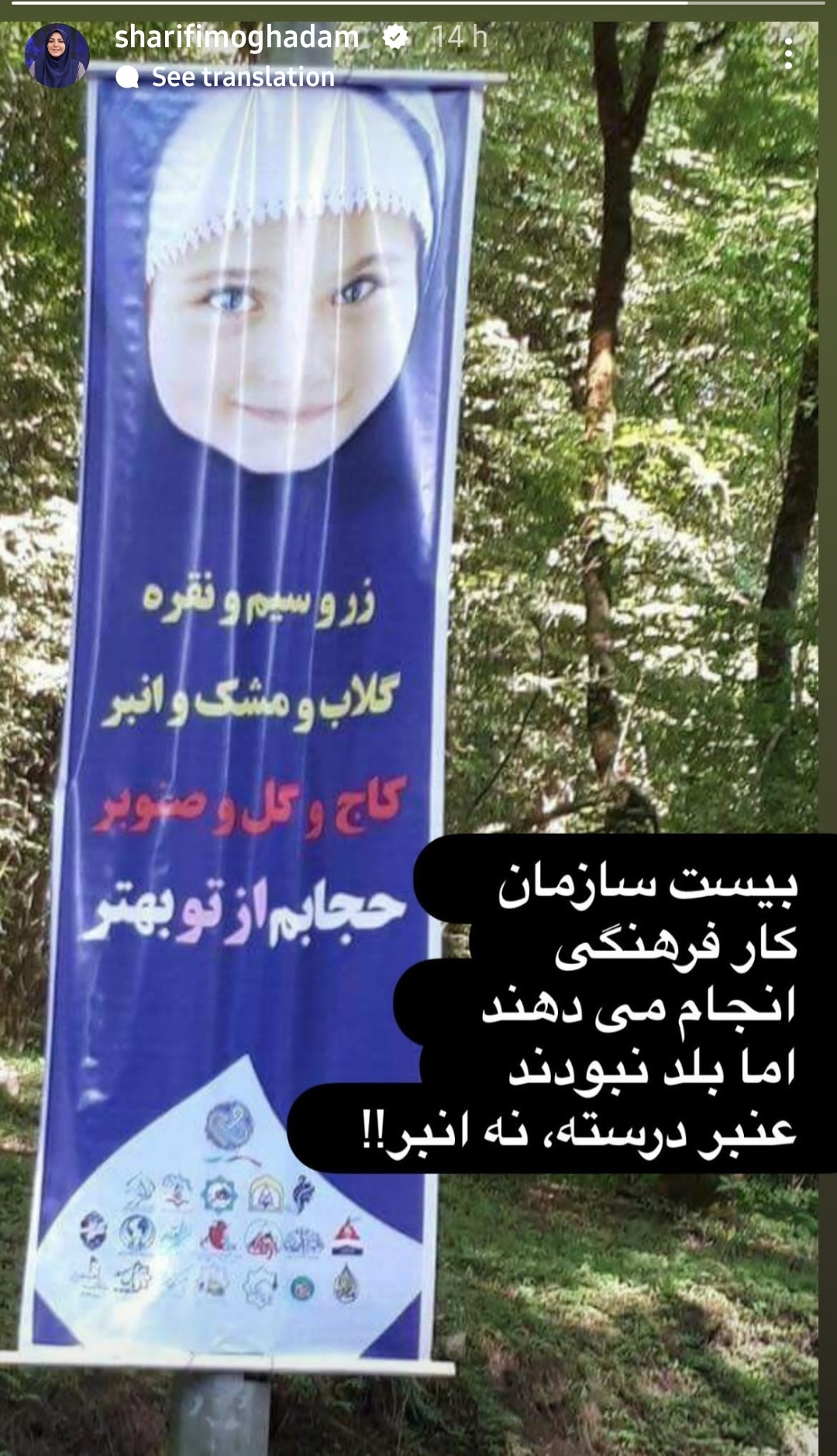 (عکس) کنایه سنگین المیرا شریفی‌مقدم به ۲۰ نهاد فرهنگی