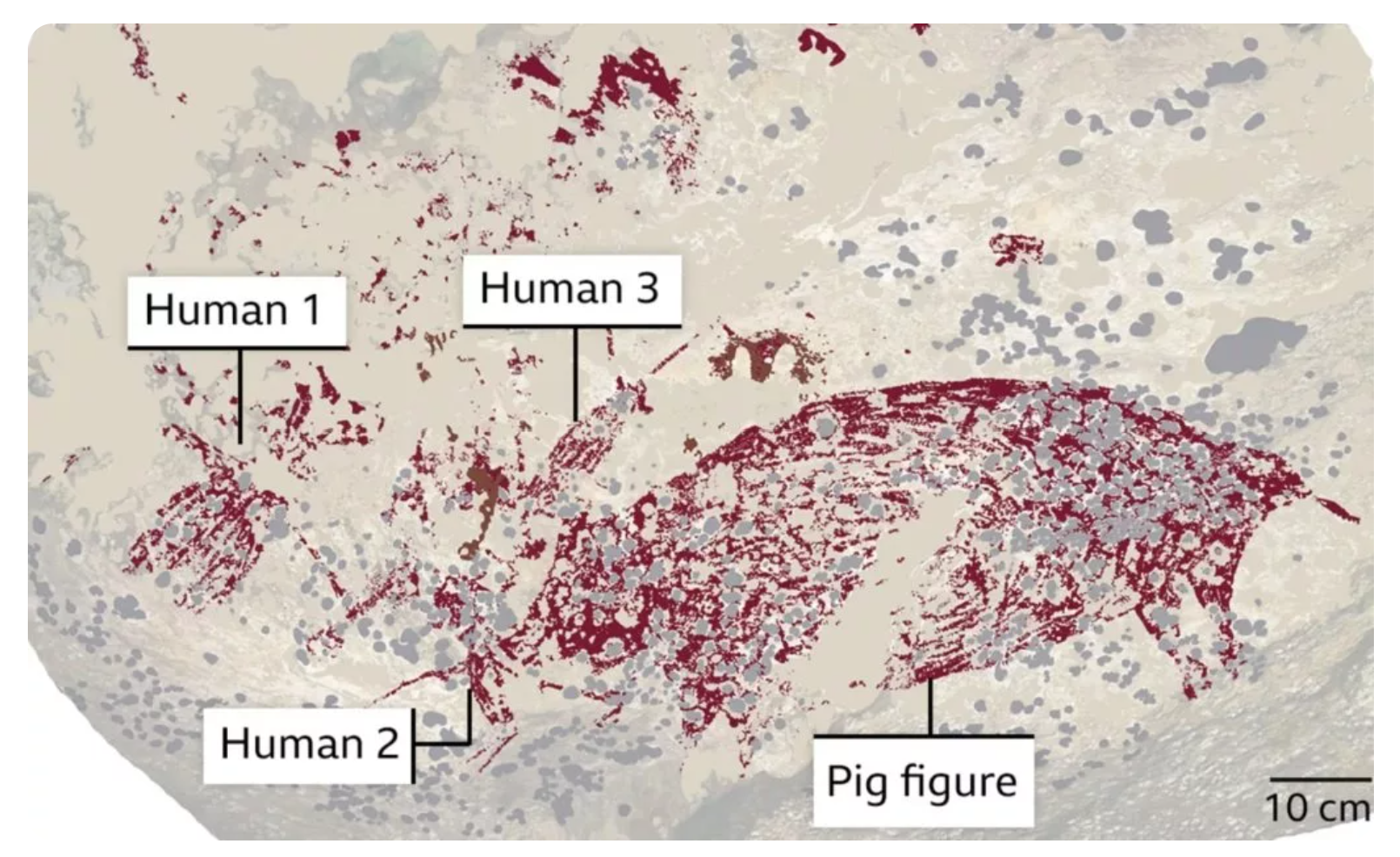 قدیمی‌ترین غارنگاره جهان کشف شد؛ نقاشی سه انسان و یک گراز با قدمت ۵۱ هزار سال