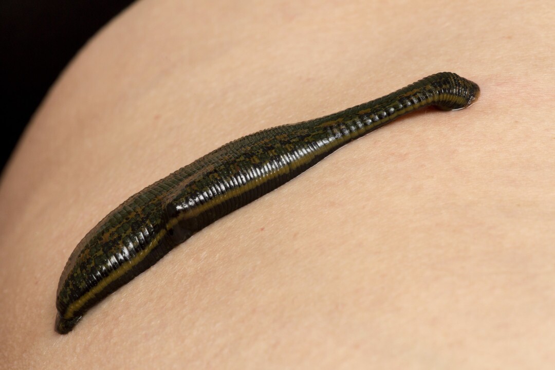 عجیب‌ترین حقایق درباره دنیای اطراف ما در حال تکمیل(عکس)