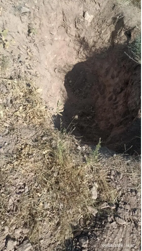 بلاگرهای گنج‌یاب با سکه‌های ساسانی حفاران را به تخت سلیمان دعوت می‌کنند!