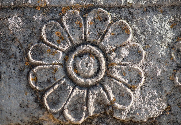 کوروش محمدخانی: گلسنگ‌ها در تخت جمشید نفوذ کرده‌اند/ نبود بودجه کار مرمت را کند کرده است