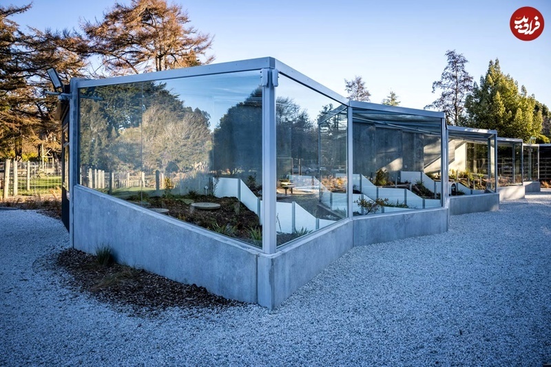 خزندۀ مشهوری که زمان ناصرالدین‌شاه به دنیا آمده و به‌تازگی پدر شده است!