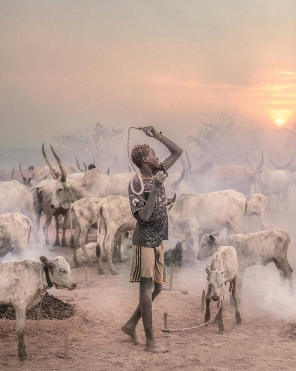 بهترین عکس سال ۲۰۲۳