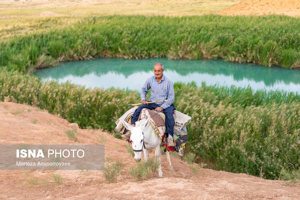(تصاویر) تالاب تاریخی «سی سر» (تصاویر) تالاب تاریخی «سی سر»