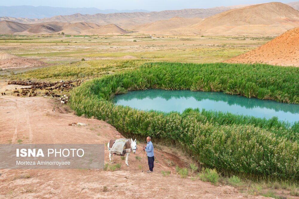 (تصاویر) تالاب تاریخی «سی سر» (تصاویر) تالاب تاریخی «سی سر»