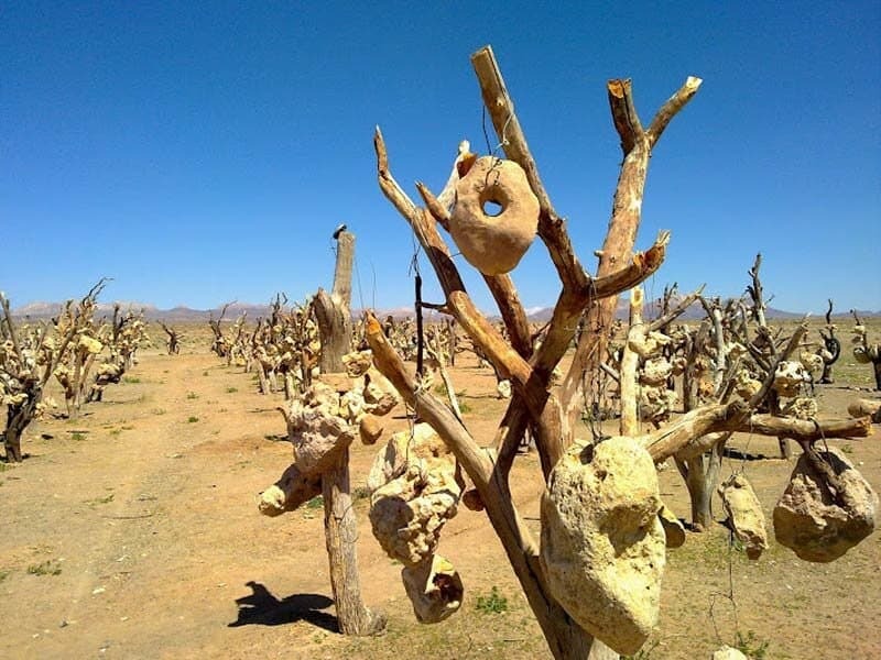 (عکس)پوستر جالب و استثنایی گل‌گهر مقابل تراکتور