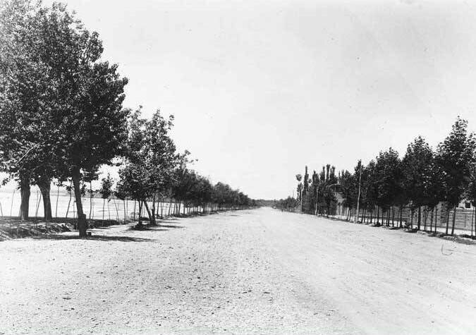 تصویر؛ دستمزد عجیب برای کاشت درخت در خیابان ولیعصر (عج) تهران؛ کارگران چطور ثروتمند شدند؟