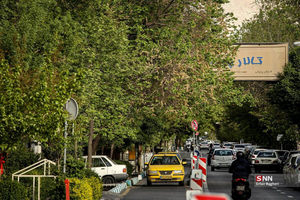 گالری